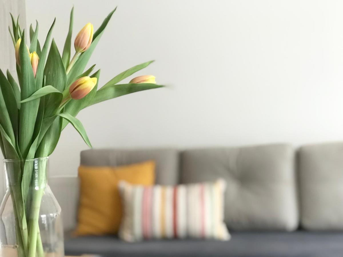 Apartament Czechowska Luxury Lublin Dış mekan fotoğraf